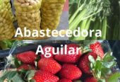 157 Abastecedora Aguilar